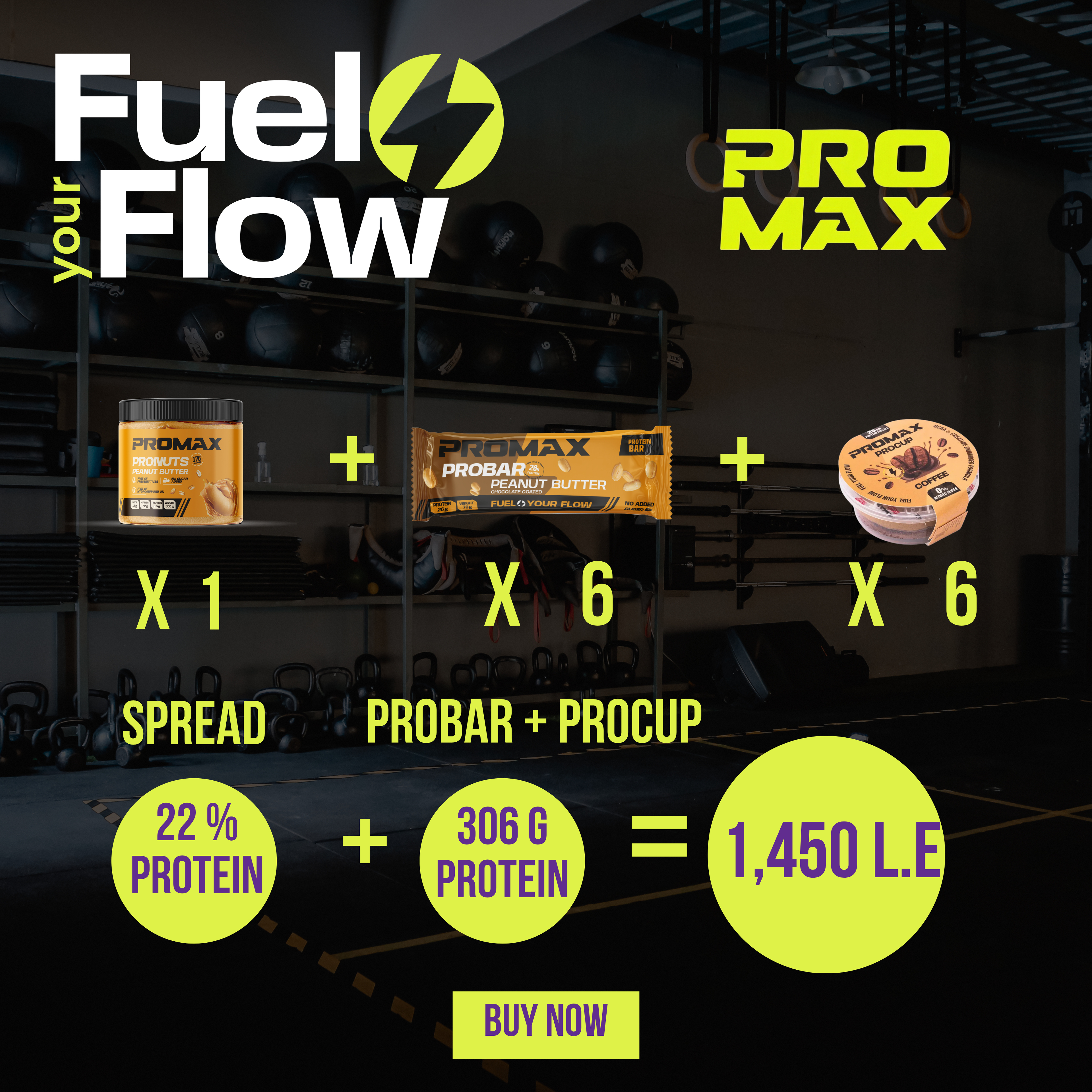 ProBundle 1